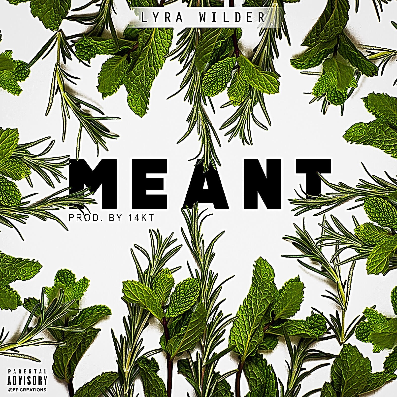 Lyra Wilder Drops New Single - MEANT
