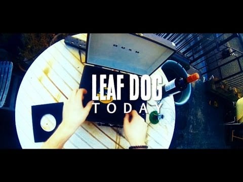 Leaf Dog - Today - High Focus Video
