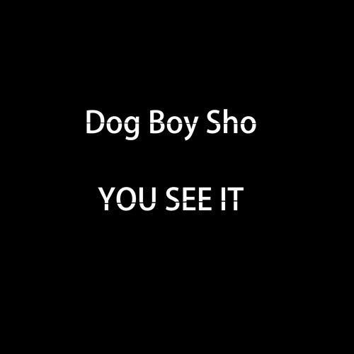 Dog Boy Sho - You See It